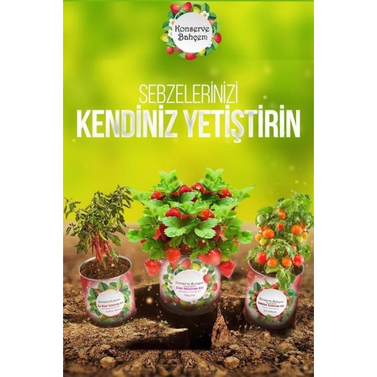 Robinanka® Konserve Bahçem Nane Yetiştirme Kiti