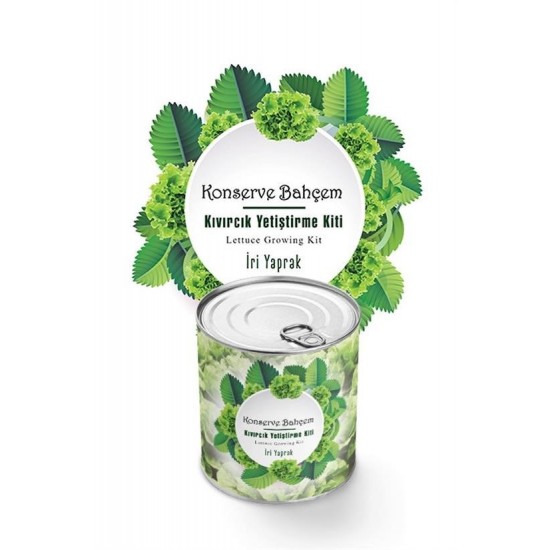 Robinanka® Konserve Bahçem Evde Konservede İri Yapraklı Kıvırcık Yetiştirme Kiti